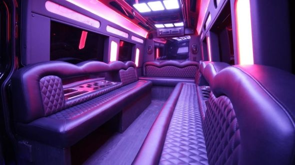 farmington sprinter limo rental interior